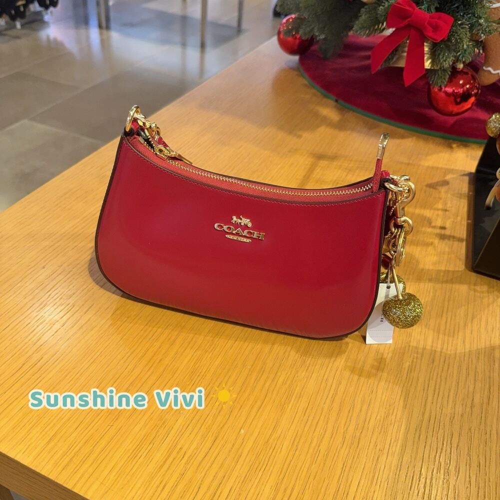 NWT Bundle Coach CV938 Teri Bold Red & Cherry Bag Charm chain 77840 Gold Brass - Picture 1 of 13